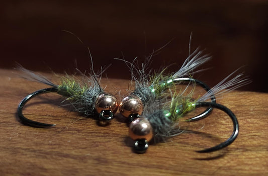 Olive Bug