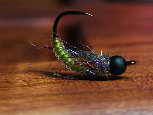 Glass Caddis