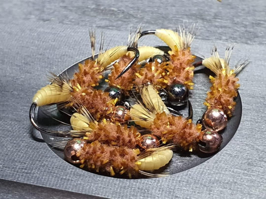 The Dallas Caddis