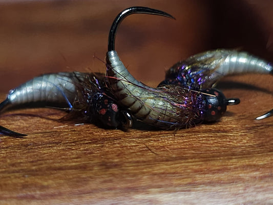Grey Caddis