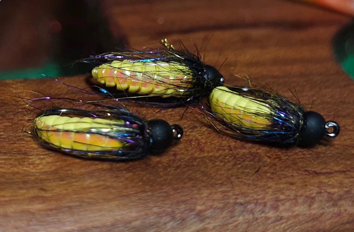 October Caddis