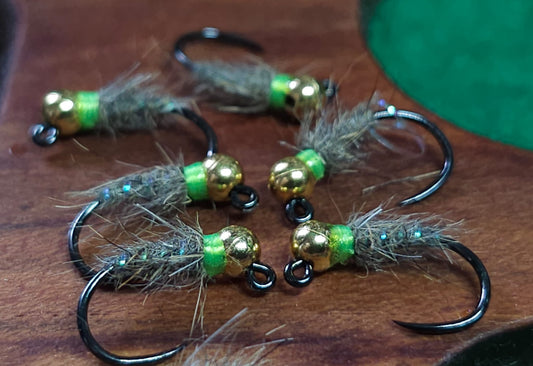 Green Collar Squirrel And Hare
