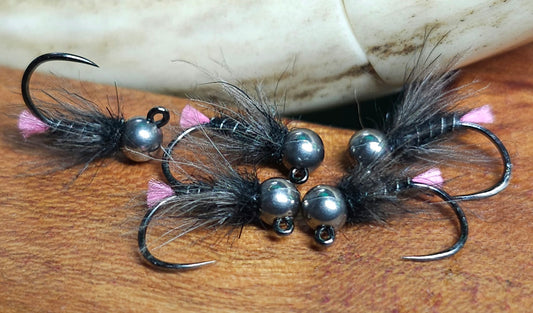 CDC Collared pink tag