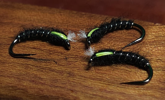 Black Scruffy Buzzer