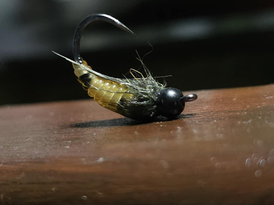 Caddis Larva