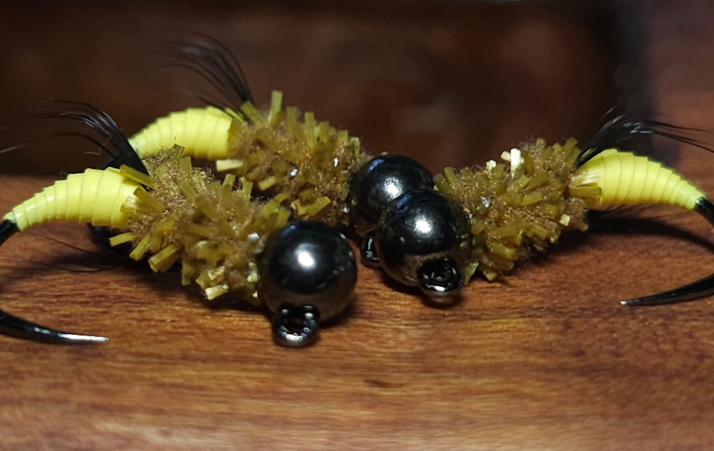 Yellow Peeping Caddis