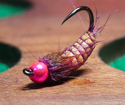 Fuschia Caddis
