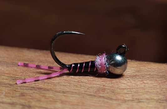 Pink Tuxedo Bug