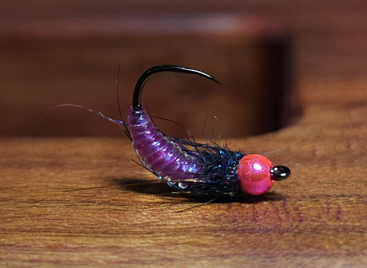 Purple Glass Caddis