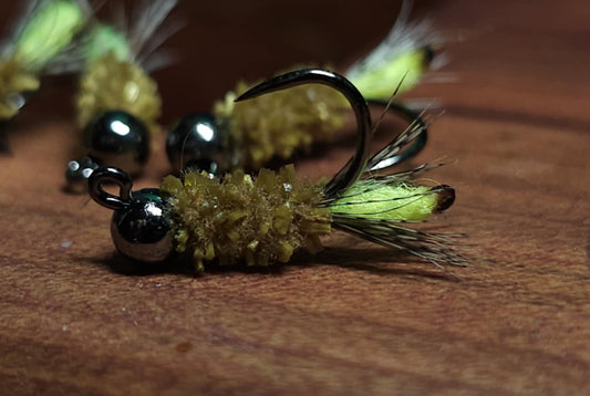 Peeping Caddis